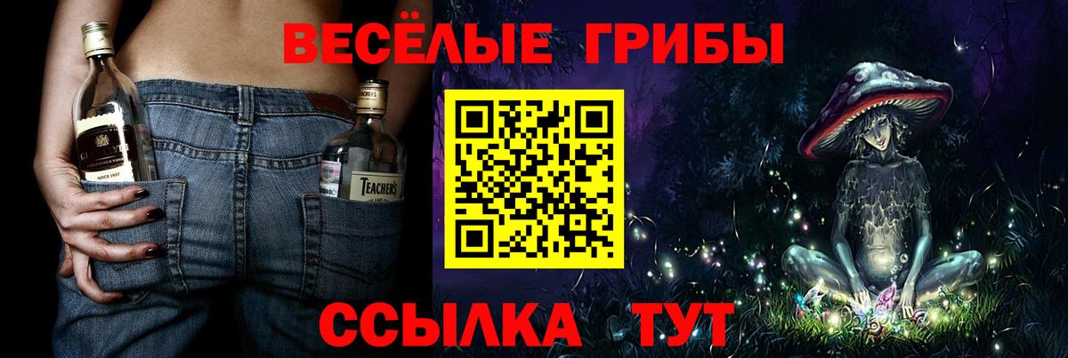 Галлюциногенные грибы Magic Shrooms  Галлюциногенные грибы Cubensis  Коломна  Вход с VPN 